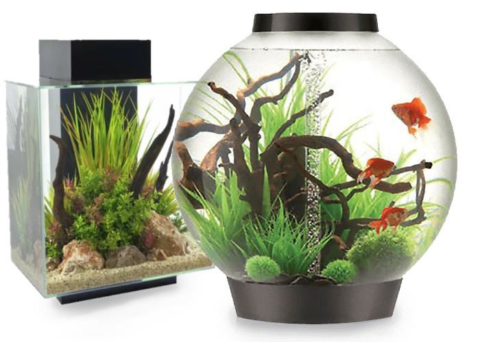 Biorb Aquarium 