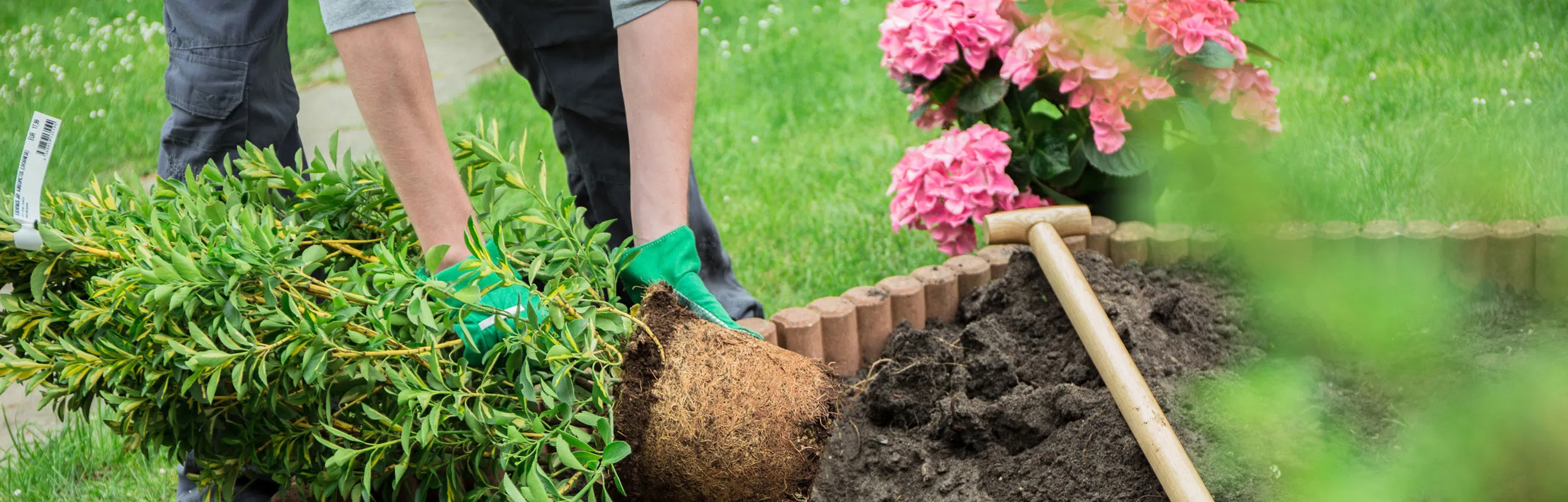 Why Is Gardening Good For You?